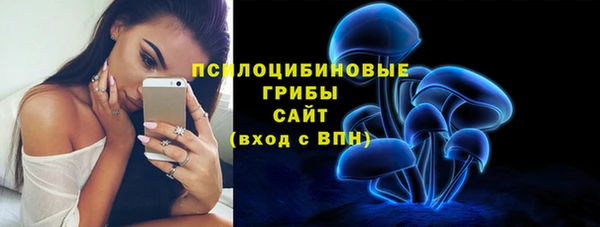 крисы Арсеньев